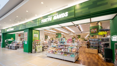 チャップアップ 東急ハンズ